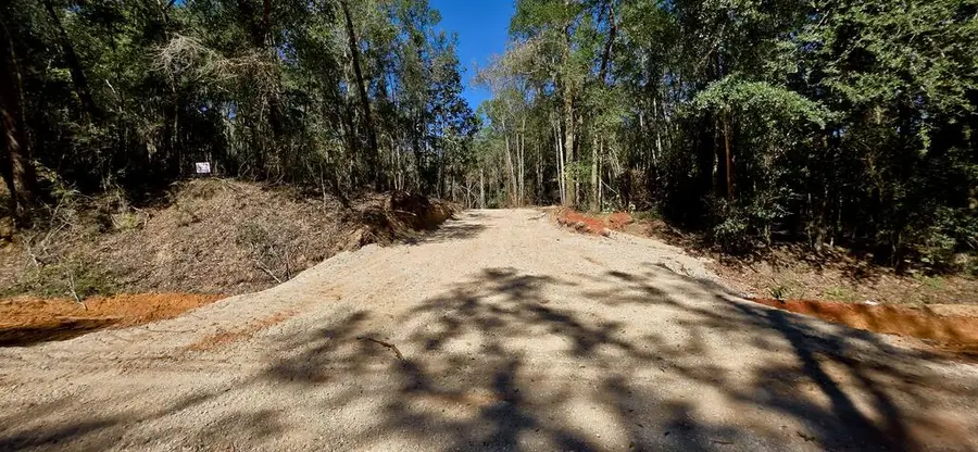 13 Acres Corbin Rd, Newton, AL 36352 - #2