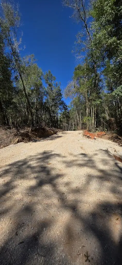 13 Acres Corbin Rd, Newton, AL 36352 - #3