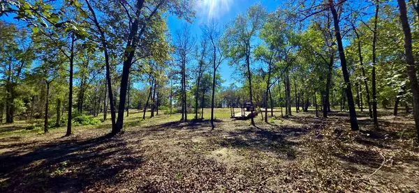 3.1 Acres Lot 4 Corbin Rd, Wicksburg, AL 36352