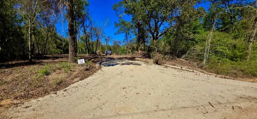 3.1 Acres Lot 4 Corbin Rd, Newton, AL 36352 - #2