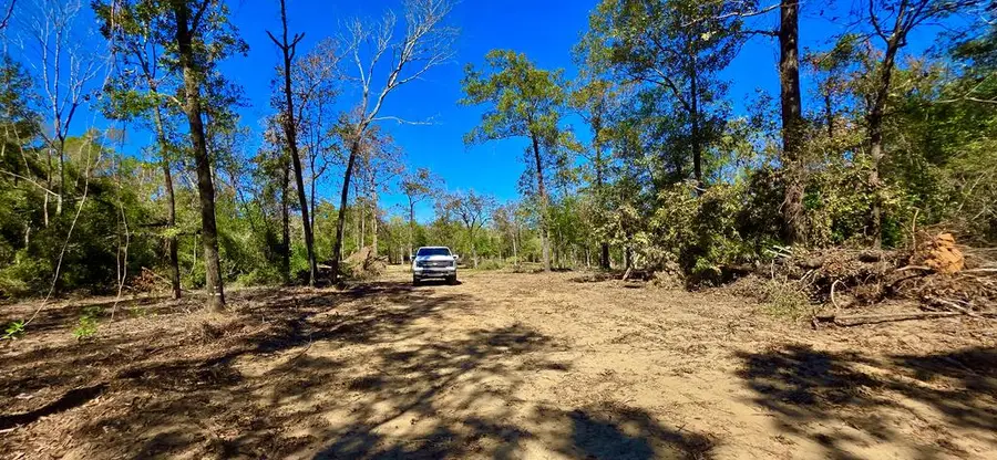 3.1 Acres Lot 4 Corbin Rd, Newton, AL 36352 - #3