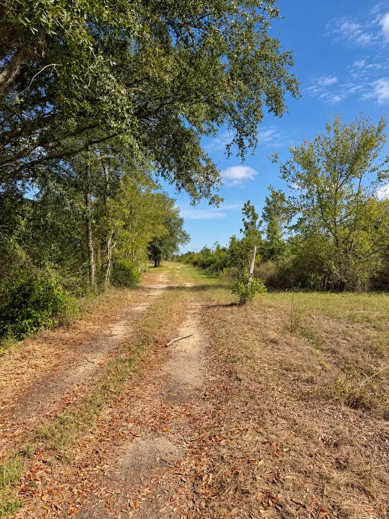 907 Marianna Highway, Donalsonville, GA 39845 - #3