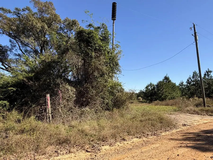 20.17+-ac Roy Williams Rd, Pansey, AL 32455 - #2