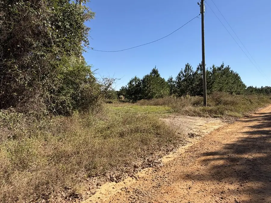 20.17+-ac Roy Williams Rd, Pansey, AL 32455 - #3
