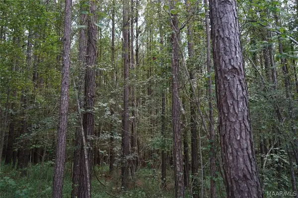 0 Leon Tower Road, Brantley, AL 36009