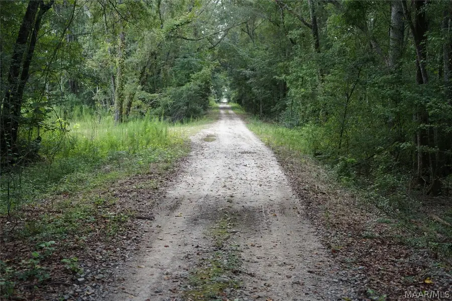 0 Opossum Branch Road, Brantley, AL 36009 - Image #3