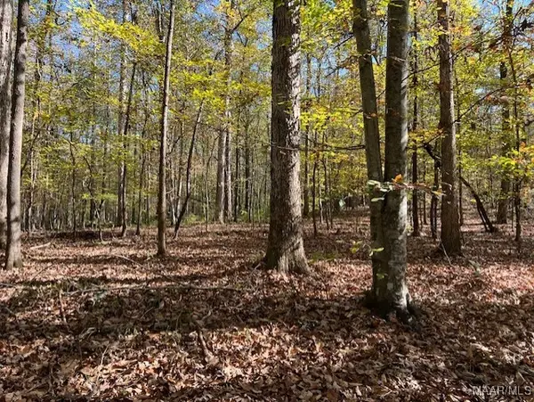 0 Dorough Road, Columbiana, AL 35051