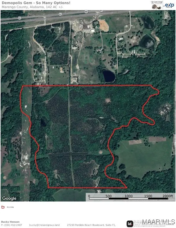 0 Highway 80, Demopolis, AL 36732 - Image #1