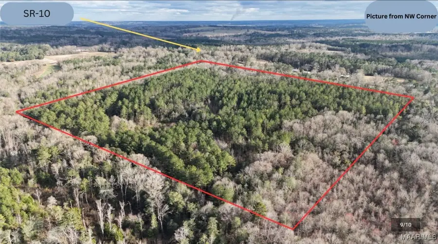 44 Highway 10 Alley, Blue Springs, AL 36017 - Image #2