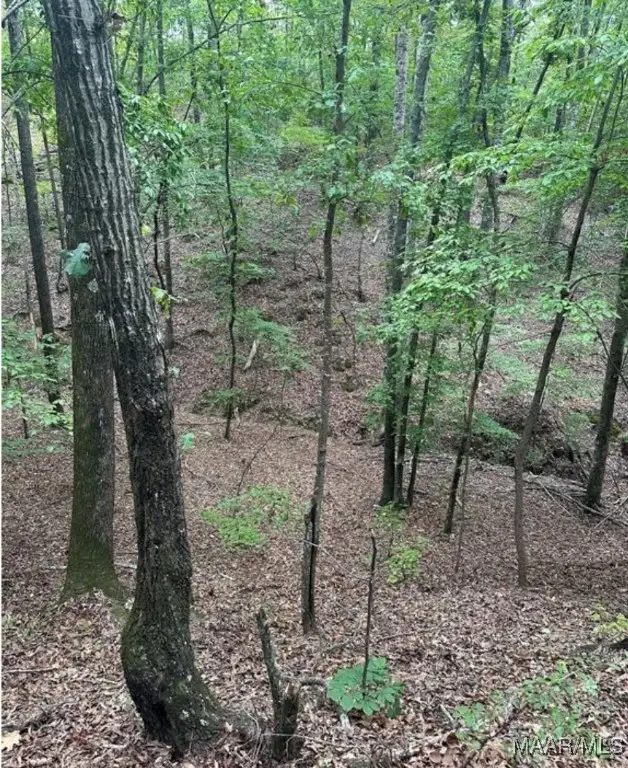 #3