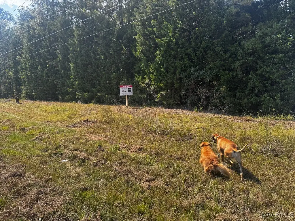 0 County Road 131, Boligee, AL 36278 - Image #1