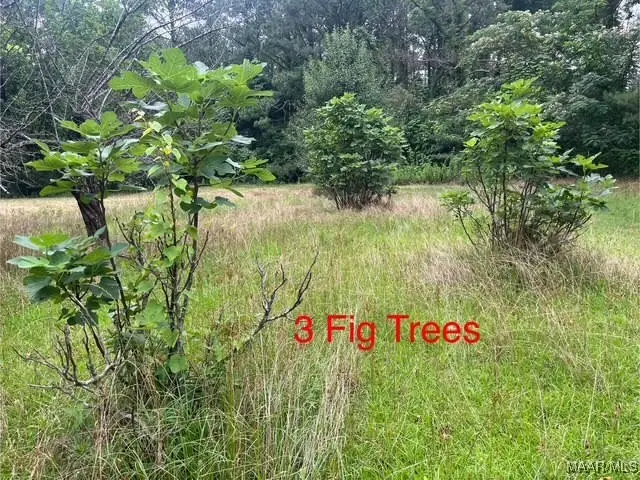 #3