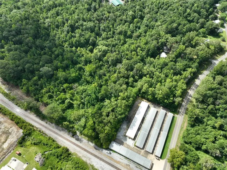 0 Coleman Street, Pell City, AL 35128 - Image #3