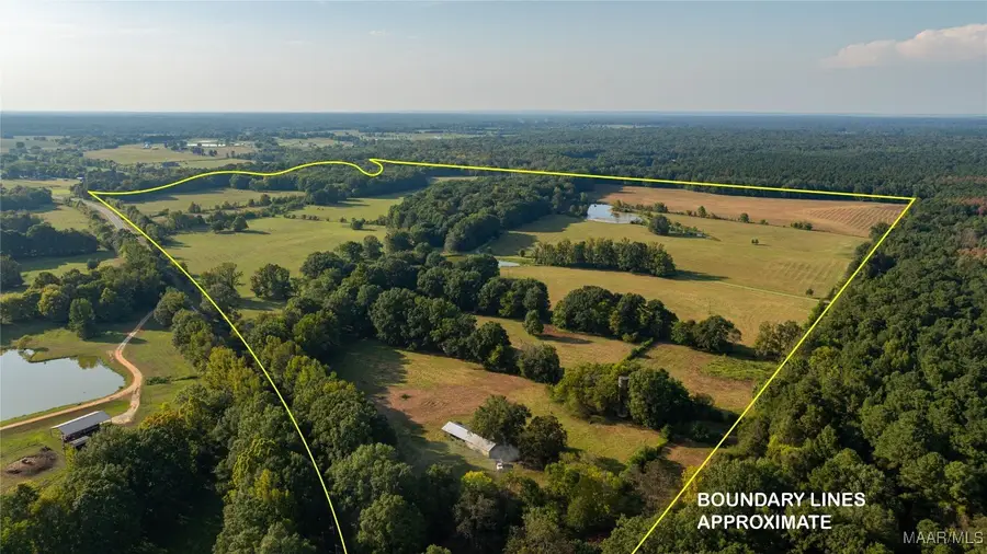 15246 Highway 110, Fitzpatrick, AL 36029 - Image #3