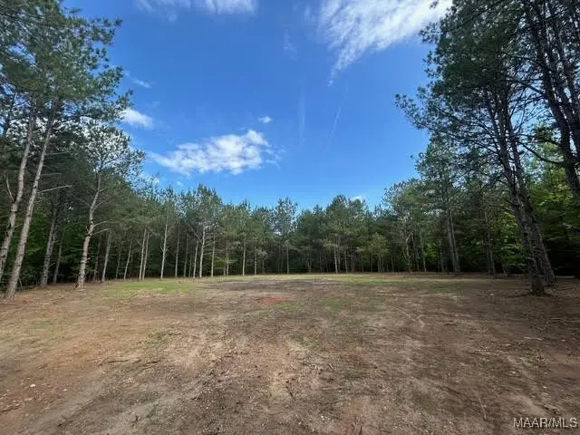 #3