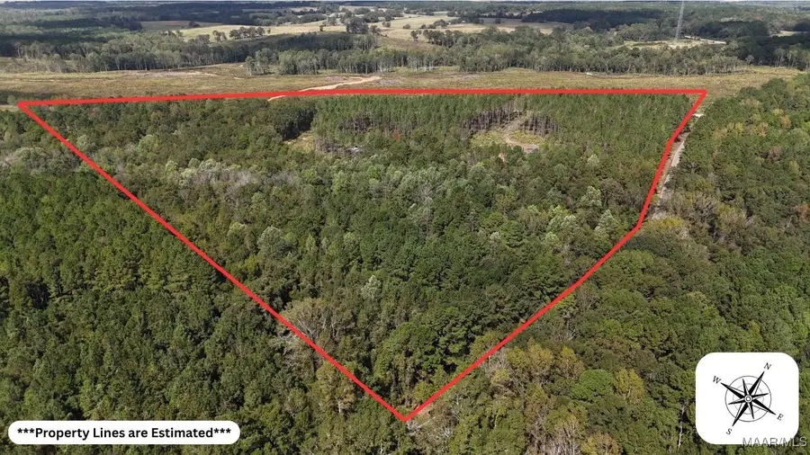 9 County Road 9 Road, Louisville, AL 36048 - Image #3