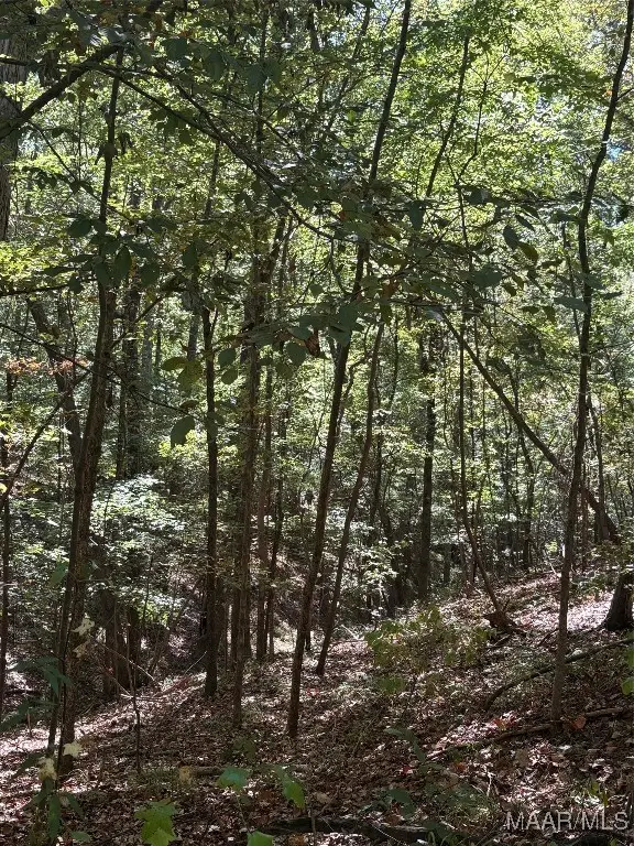 130 Trillium Road, Wetumpka, AL 36092 - Image #1