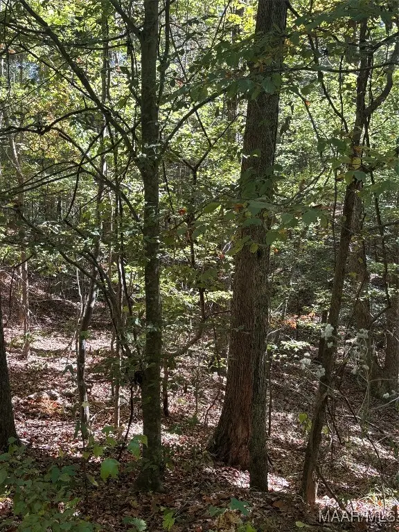 130 Trillium Road, Wetumpka, AL 36092 - Image #3