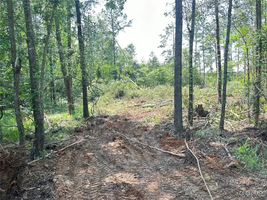 25 Edgewood Court, Mathews, AL 36064 - Image #3