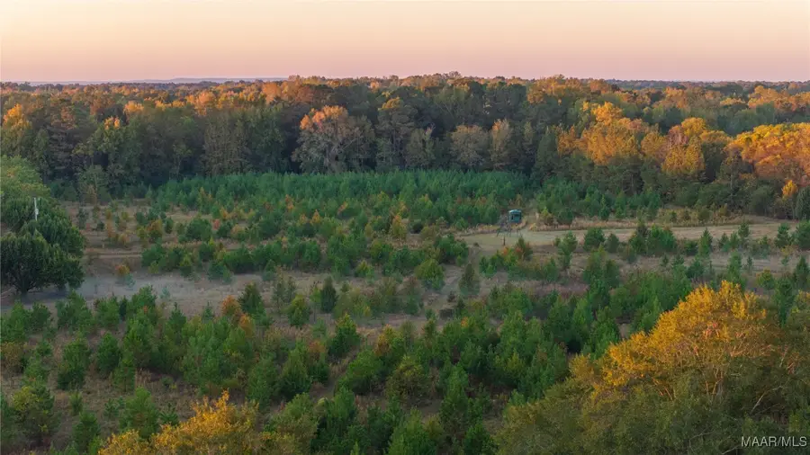 3348 County Road 78, Autaugaville, AL 36003 - Image #3