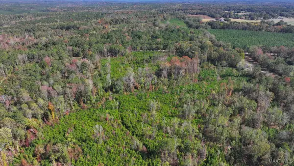 465 N Ann Street, Eclectic, AL 36024