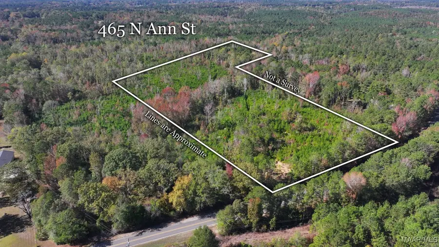 465 N Ann Street, Eclectic, AL 36024 - Image #2