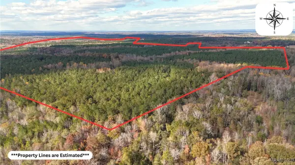 407 County Road 258 Road, Five Points, AL 36862