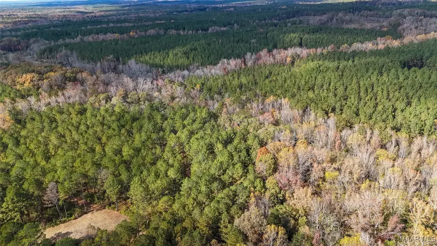 407 County Road 258 Road, Five Points, AL 36862 - Image #3