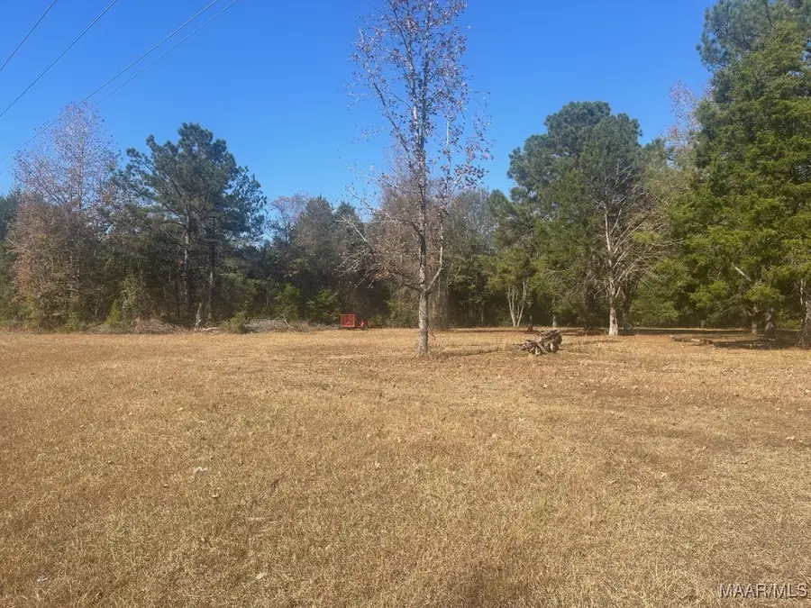 4.36 Acre Lot Highway 80 Highway, Shorter, AL 36075 - Image #2