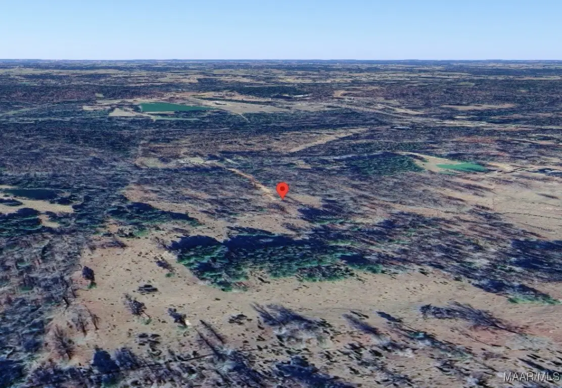 411 Pugh Road, Mathews, AL 36052 - Image #1