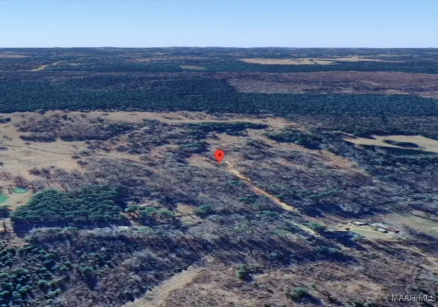 411 Pugh Road, Mathews, AL 36052 - Image #2