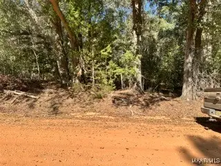 0 County Road 2202, Goshen, AL 36035 - Image #2