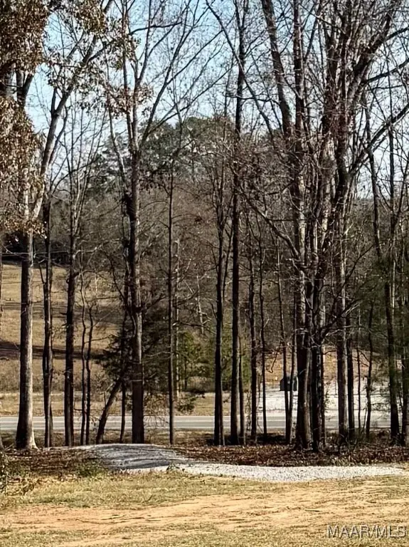 2884 Highway 47, Columbiana, AL 35051 - Image #2