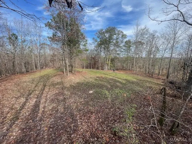 1300 County Road 71 Road, Kellyton, AL 35089 - Image #1