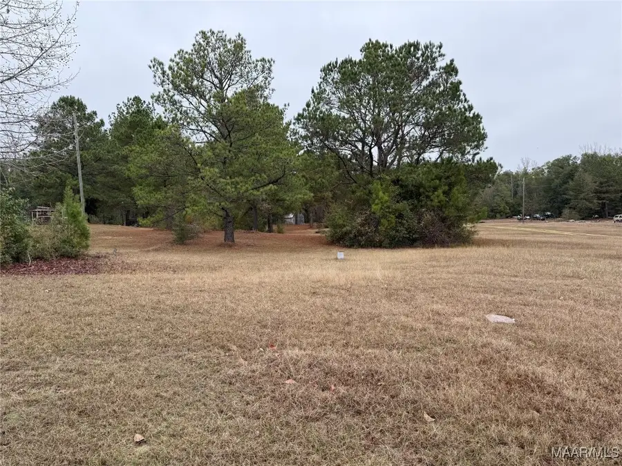 145 Lakewood Road, Jones, AL 36749 - Image #2