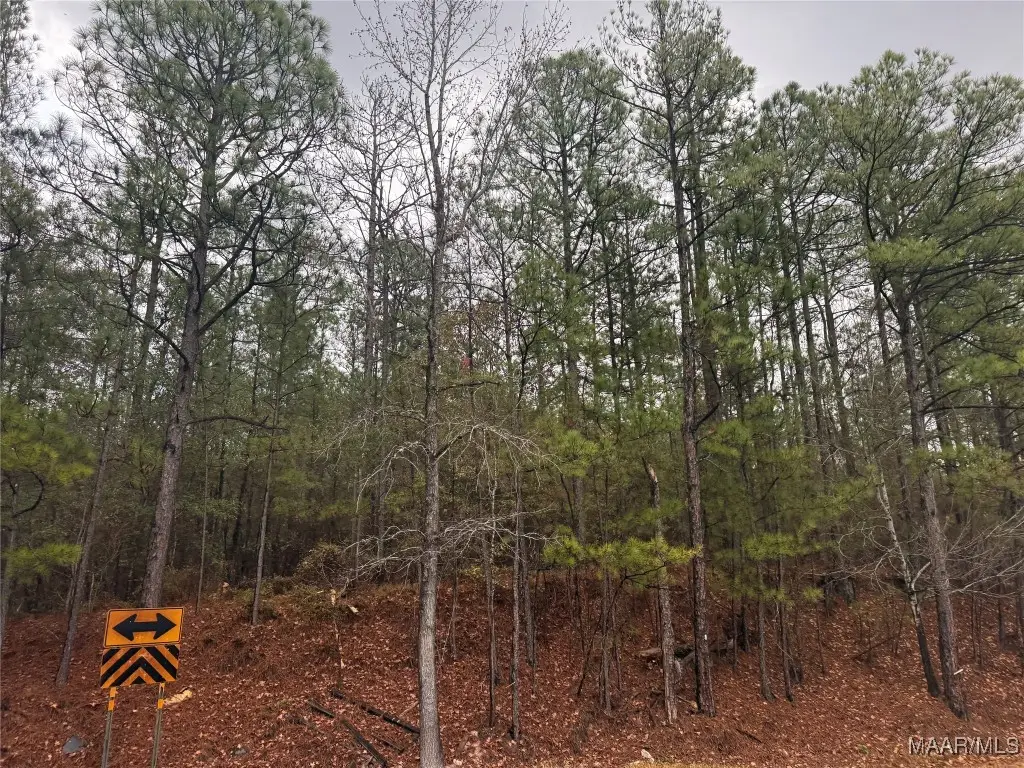 0 Flatrock Road, Tallassee, AL 36078 - Image #1