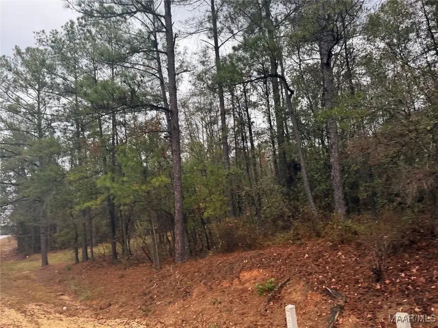 0 Flatrock Road, Tallassee, AL 36078 - Image #3