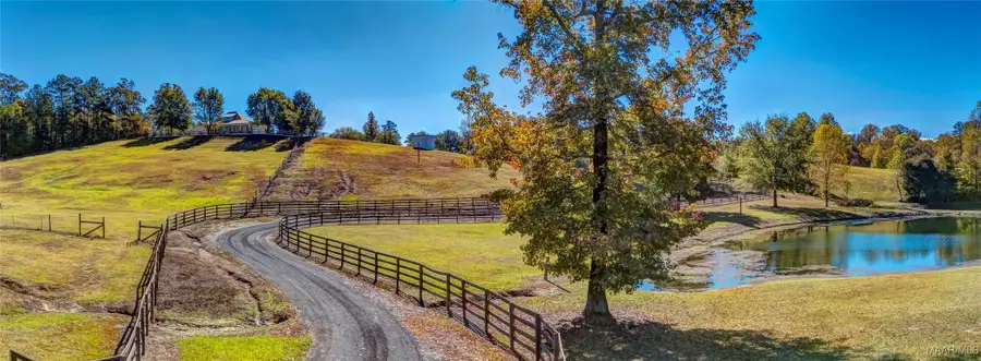 15315 County Road 56 Road, Sylacauga, AL 35151 - Image #3