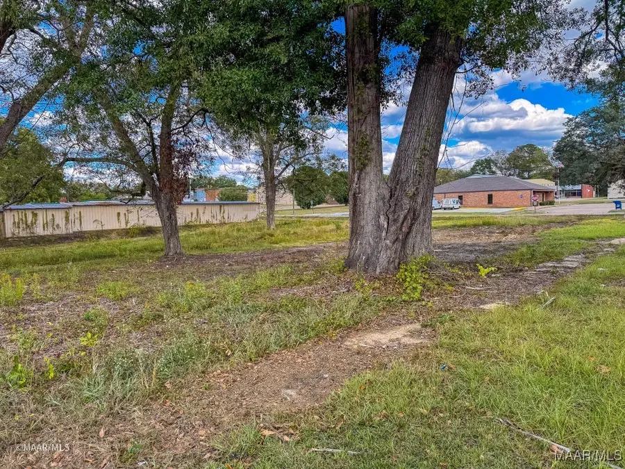 0 7th Avenue W, Linden, AL 36748 - Image #2
