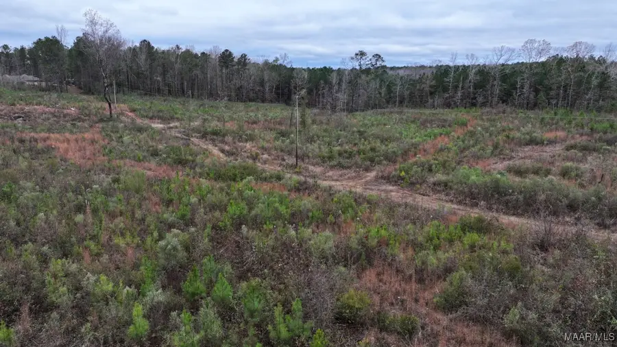 00 Weoka Road, Wetumpka, AL 36092 - Image #3