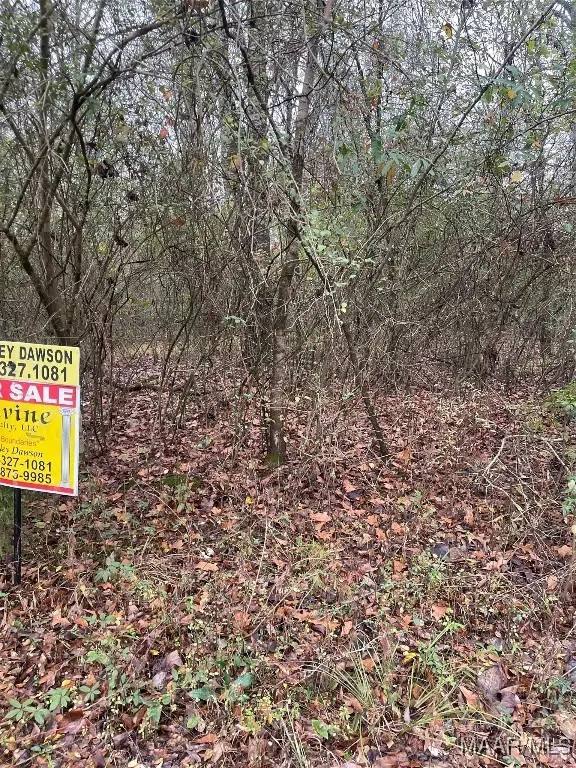 LOT 1 Cahaba View Drive, Selma, AL 36701 - Image #2