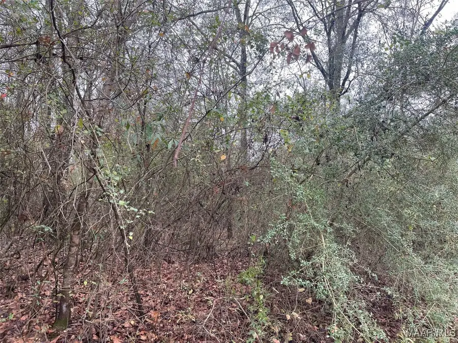 LOT 1 Cahaba View Drive, Selma, AL 36701 - Image #3