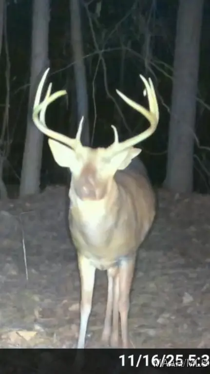 2183 Friendship Road, Tallassee, AL 36078 - Image #1