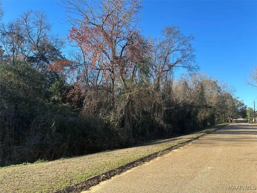 0 Cedar Street, Greenville, AL 36037 - Image #3