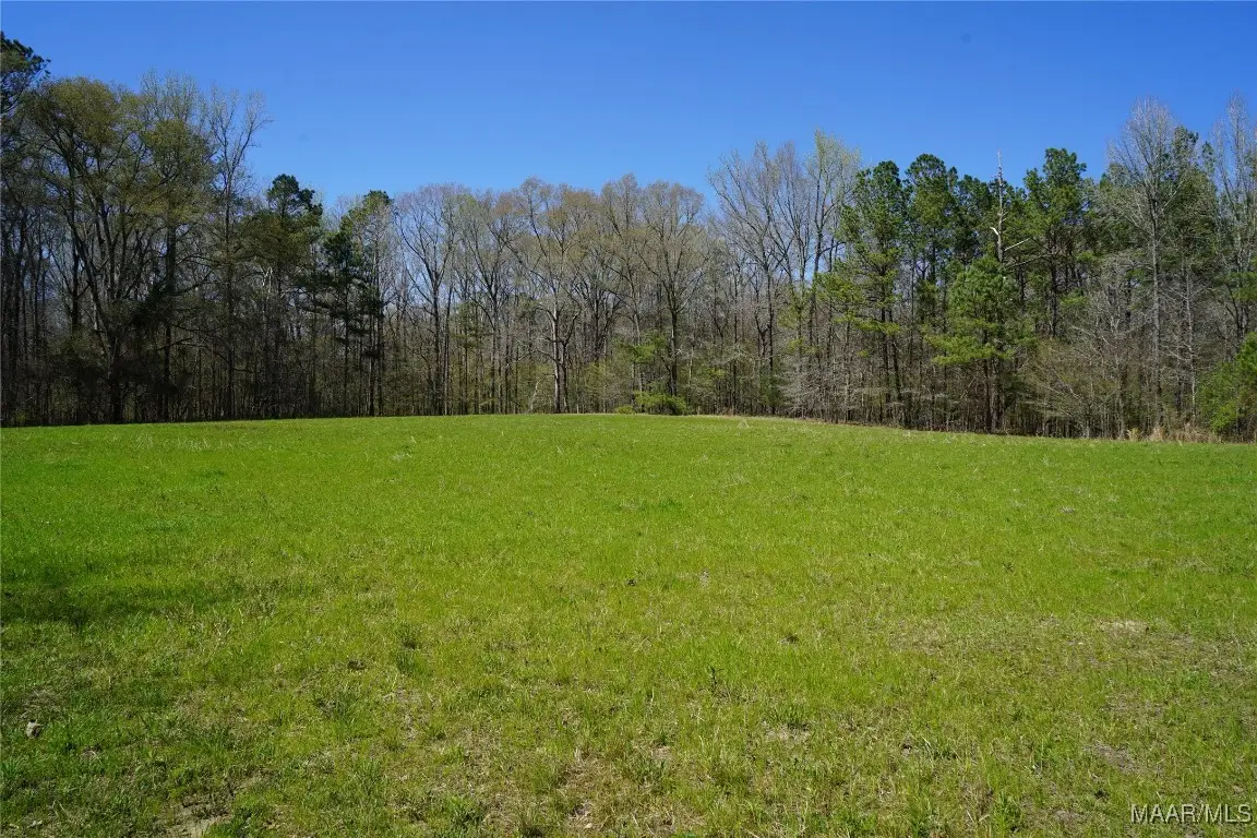 831 Old Barnes Road, Pine Level, AL 36065 - Image #1