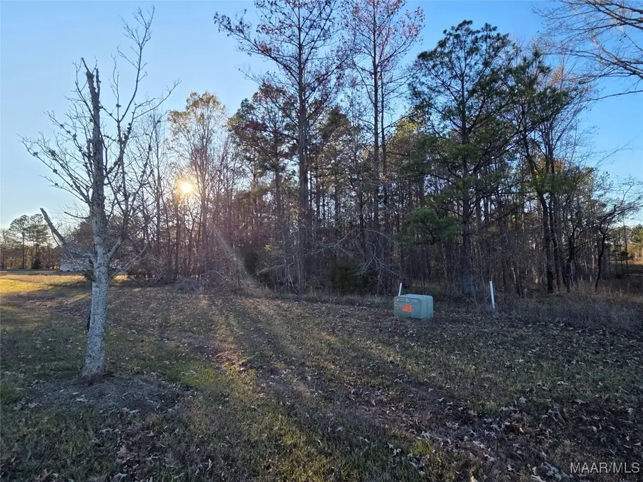 127 Woods N Water Lane, Mathews, AL 36064 - Image #2