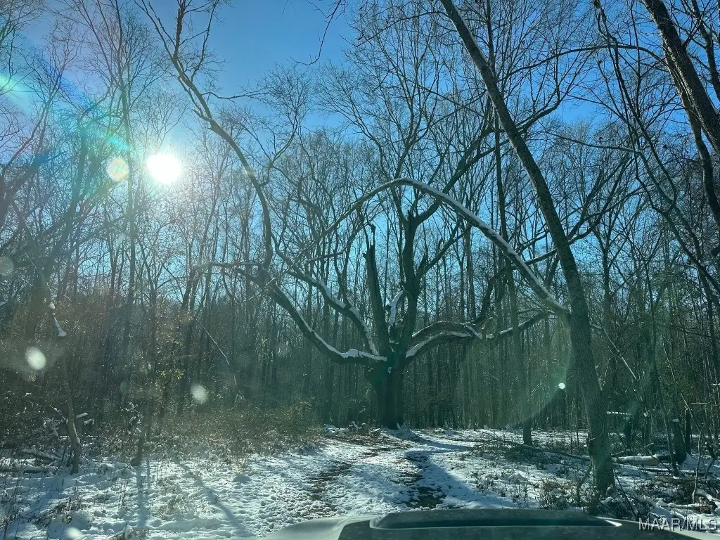 1950 Boyd Springs Road, Montgomery, AL 36111 - Image #1