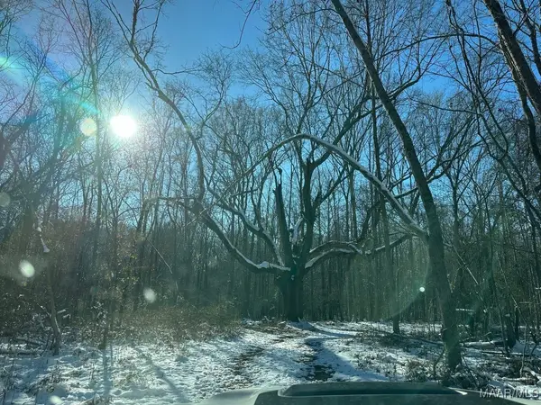 1950 Boyd Springs Road, Montgomery, AL 36111