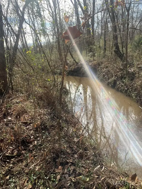 1950 Boyd Springs Road, Montgomery, AL 36111 - Image #3