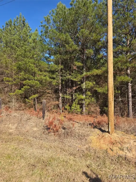 0 Amber Road, Shorter, AL 36075 - Image #2